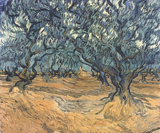 Photo:  Vincent van Gogh, Olive Trees. Oil on canvas. Saint